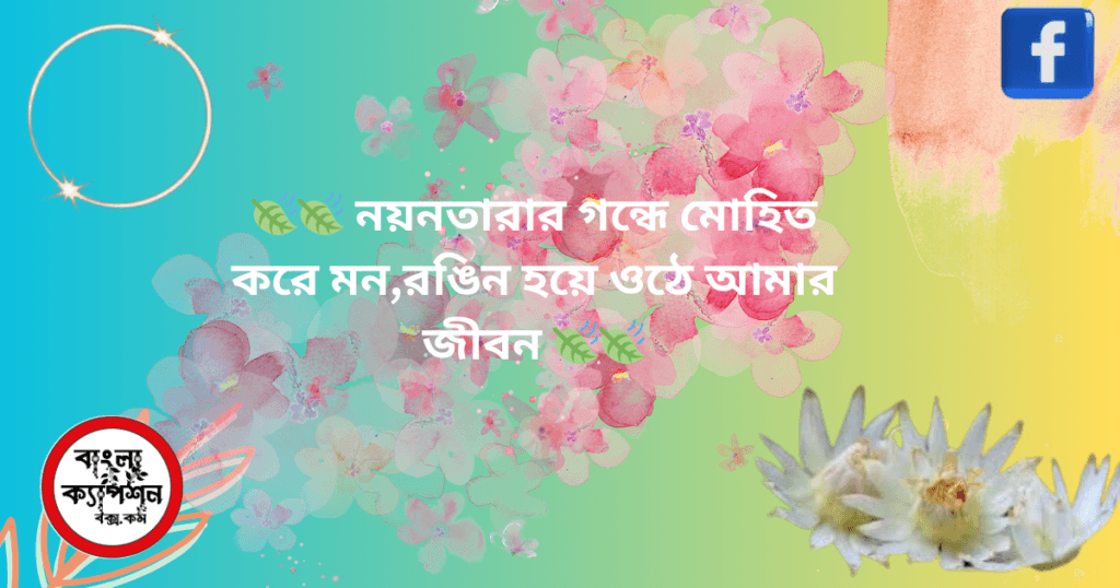 নয়নতারা ফুল নিয়ে ক্যাপশন। Caption with Nayantara flower