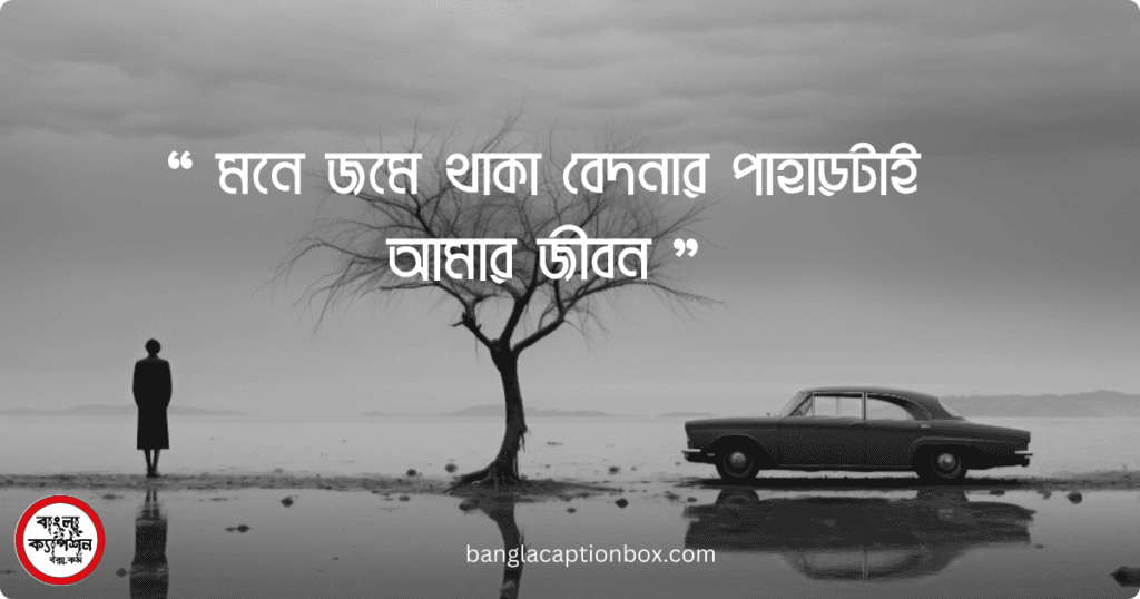 চাপা কষ্টের ক্যাপশন