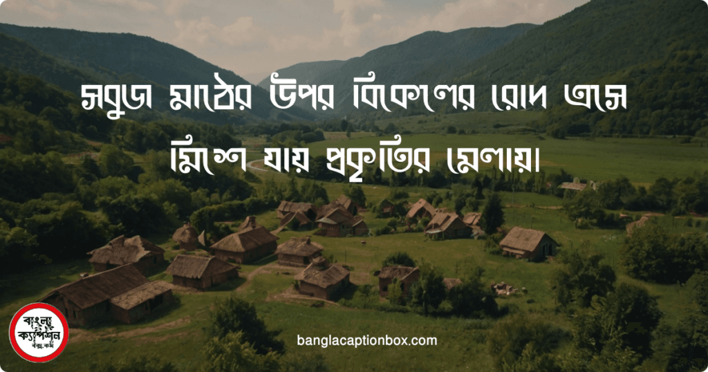 বিকেলের প্রকৃতি নিয়ে ক্যাপশন