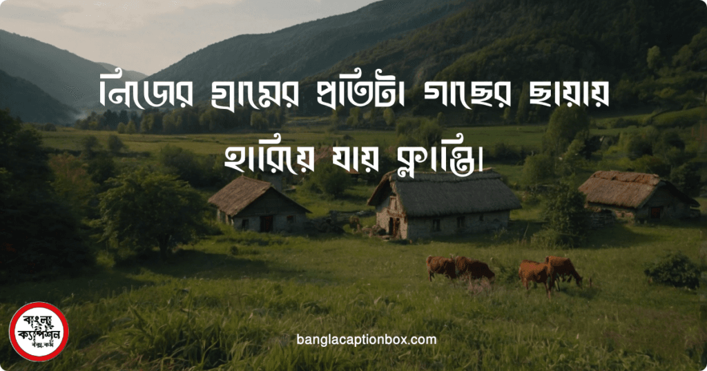 সবুজ গ্রামের প্রকৃতি নিয়ে ক্যাপশন 2024