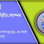 ১৯৯ +বেস্ট ফেসবুক স্ট্যাটাস ক্যাপশন।Bangla status for FB 2024