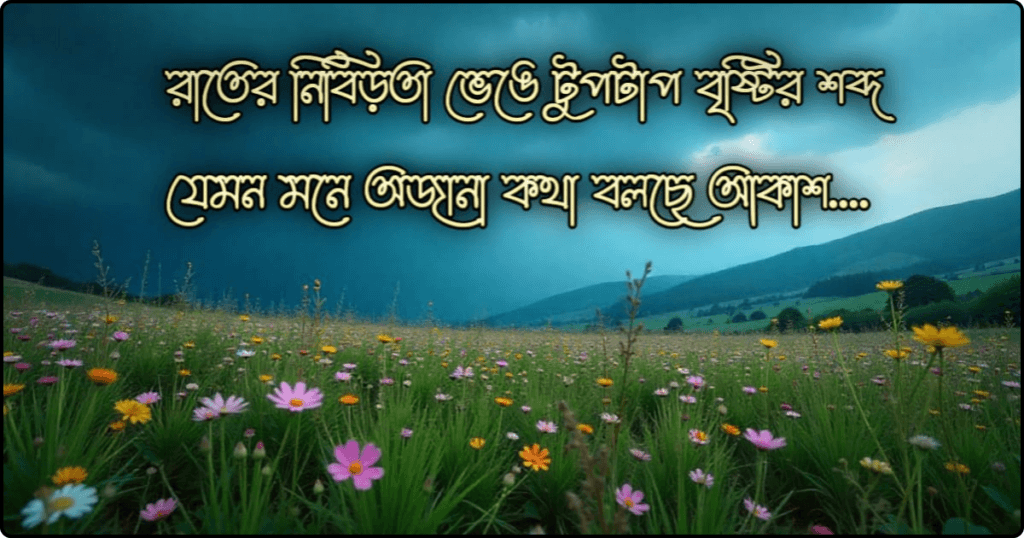 বৃষ্টি নিয়ে কবিতা