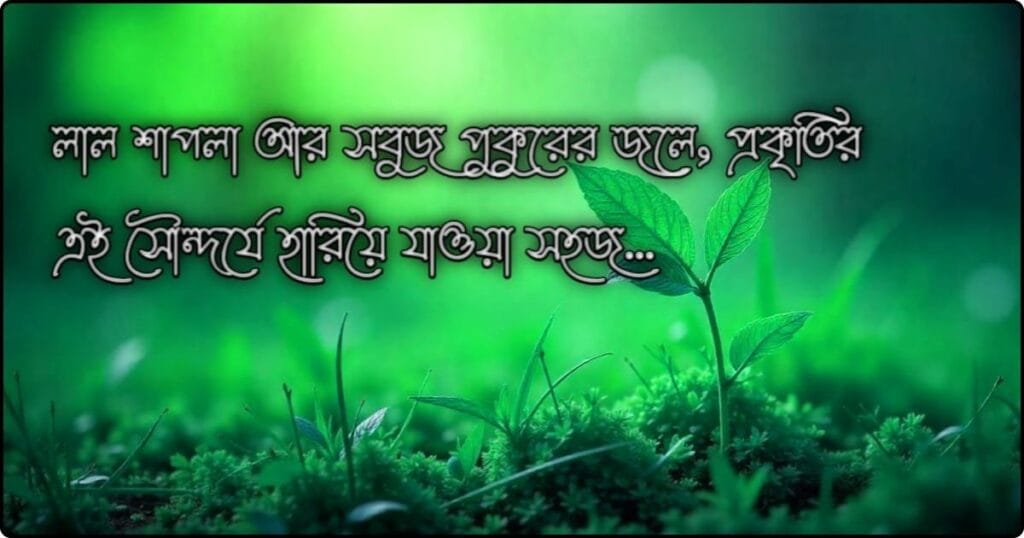 লাল সবুজ নিয়ে ক্যাপশন