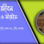 বাস্তব জীবন নিয়ে স্ট্যাটাস জীবনকে বোঝার এক গভীর অভিজ্ঞতা
